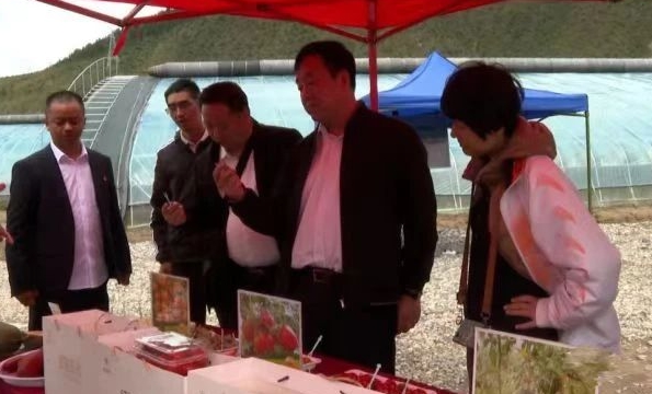 1717376342039049760.jpg 微信图片编辑_20240603163035.jpg